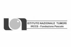 mcm-clienti-logo-irccs mcm-clienti-logo-irccs