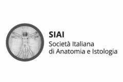 mcm-clienti-logo-siai mcm-clienti-logo-siai