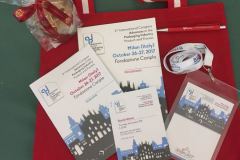 2017 | API -  International Congress "Advances in the Packaging Industry", Milano (Italy)